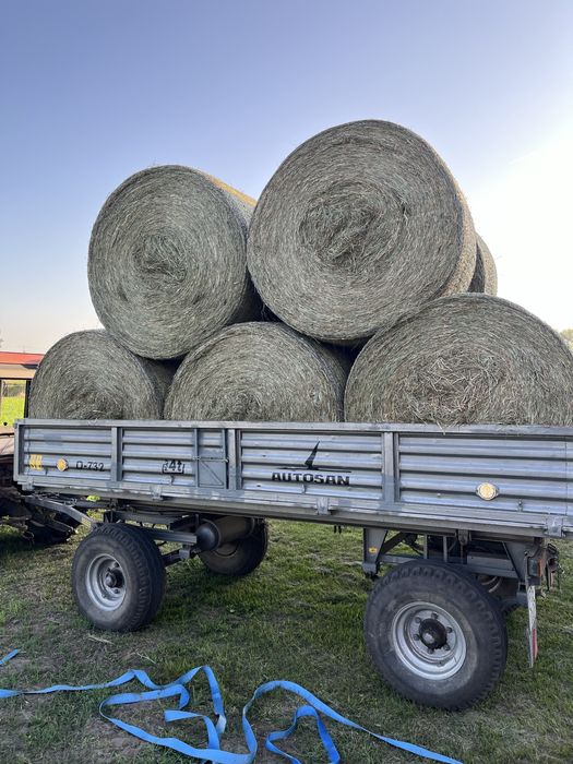 Siano 2026, suche, pachnące, transport GRATIS