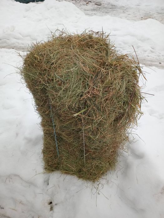 Продам сіно в тюках