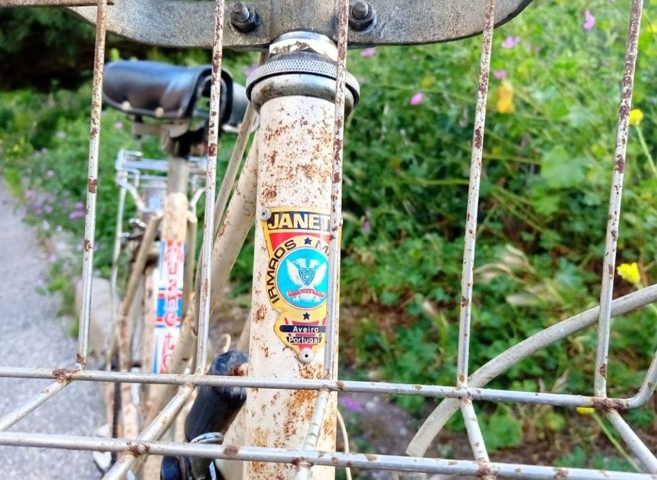 Bicicleta Janette