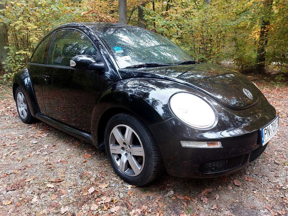 Volkswagen BEETLE