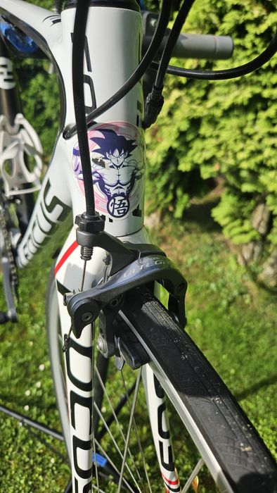 Karbonowy Rower Szosowy Focus Izalco  54