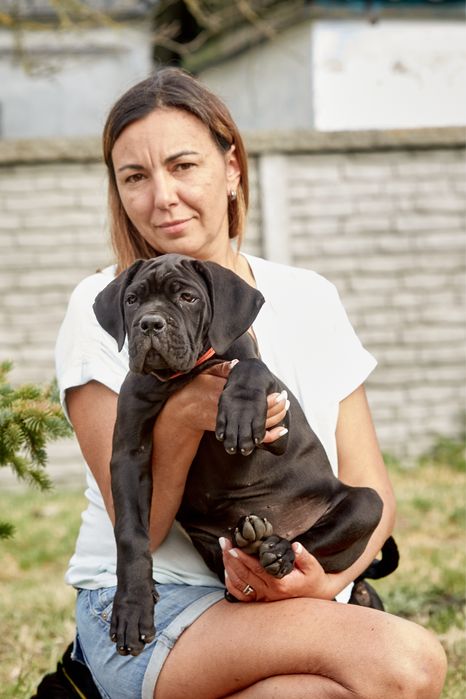 Шикарні цуценята