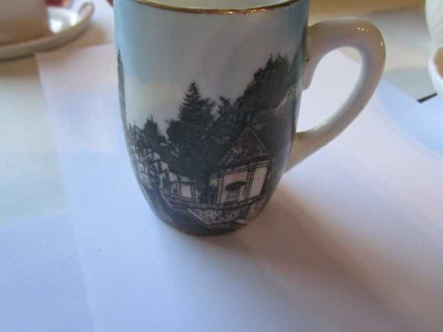 Vista Alegre Cegonha Bom Jesus Braga