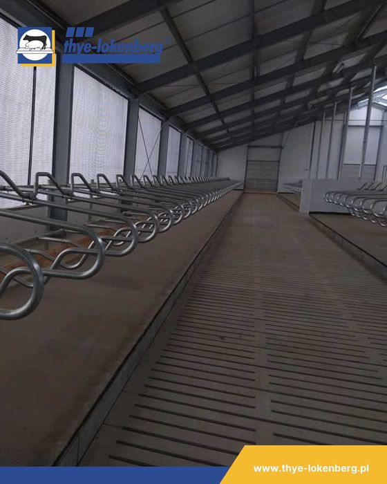 Ruszta betonowe dla bydła i trzody