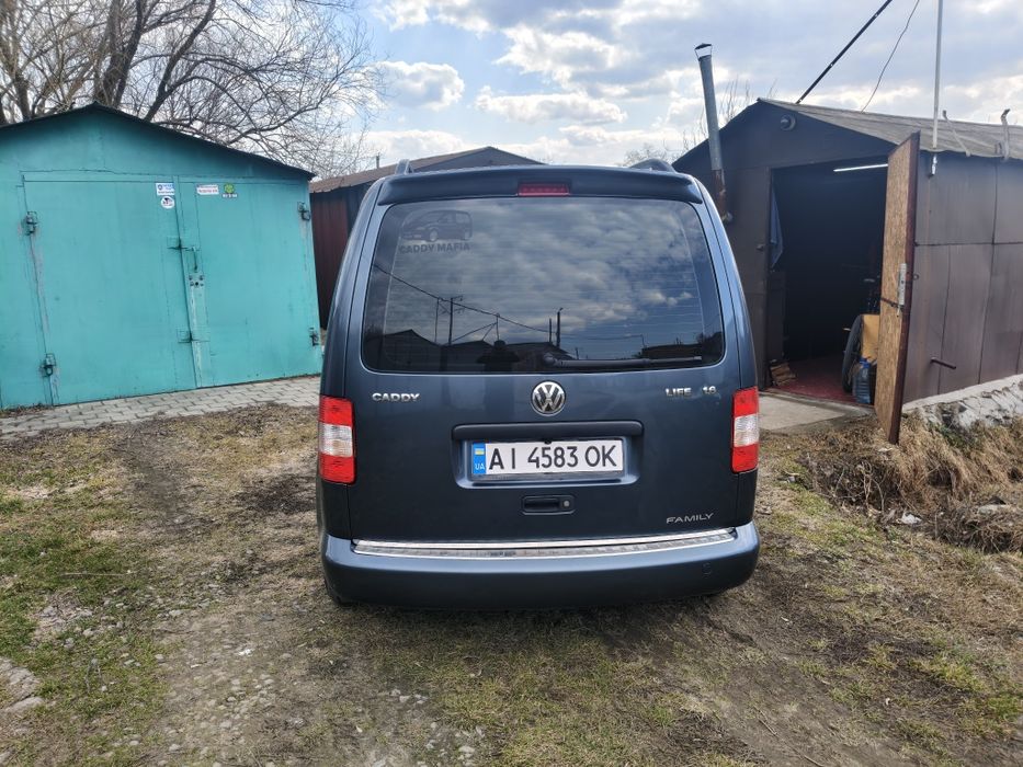 Продам каддик ухоженый