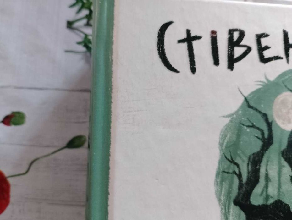 Уявний друг, Стівен Чбоскі