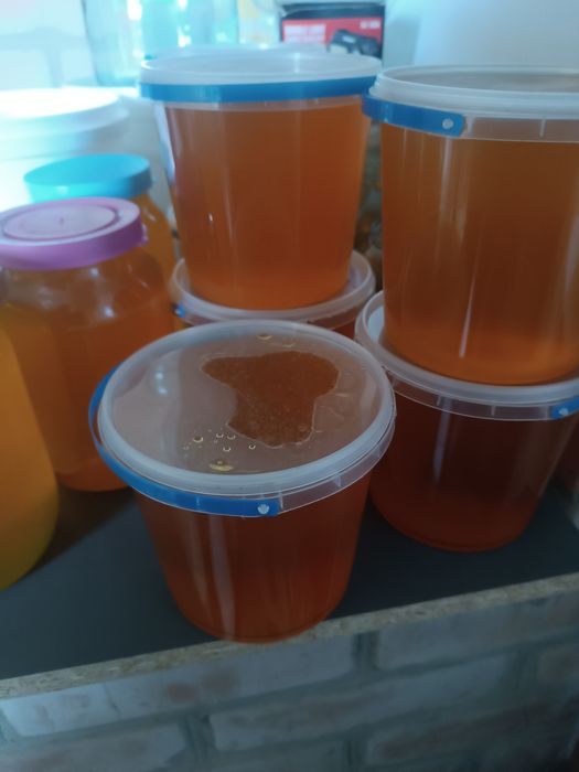 Продам Свіжий мед, свіжовикачаний мед