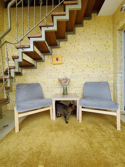 Ірпінь продаж даорівнева квартира