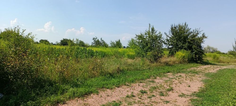 Земельна ділянка в с. Іванків