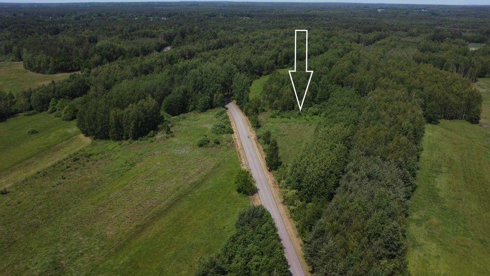 Działka 48,16ar w Czarnej Sędziszowskiej na sprzedaż - WZ - Widok 2