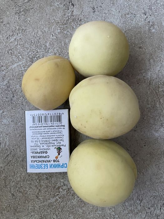 Зимостійкий персик