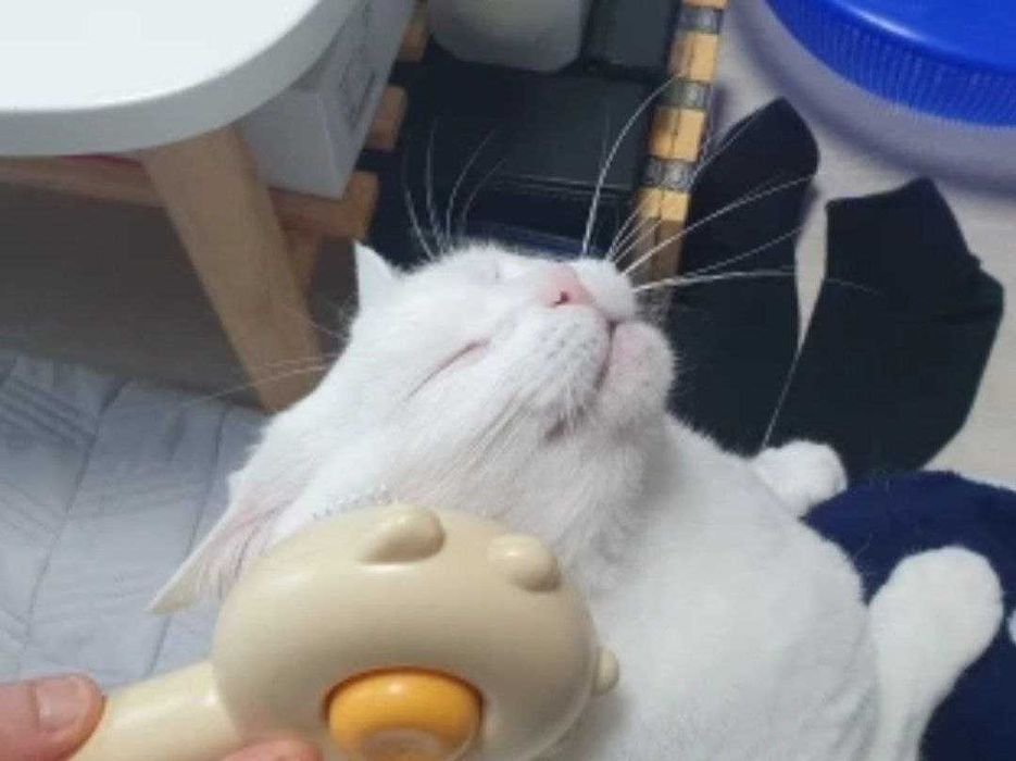 Щітка-пуходерка, розчіска для кішок і собак