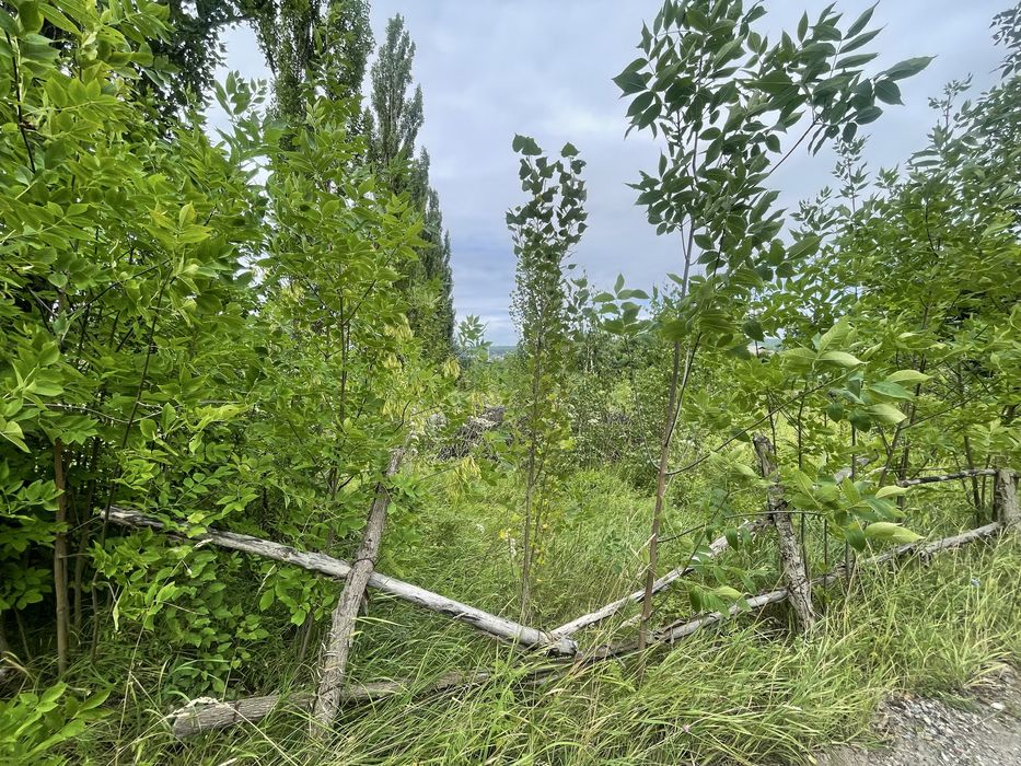 Продаж земельноі ділянки 22 сотки Віта -Поштова