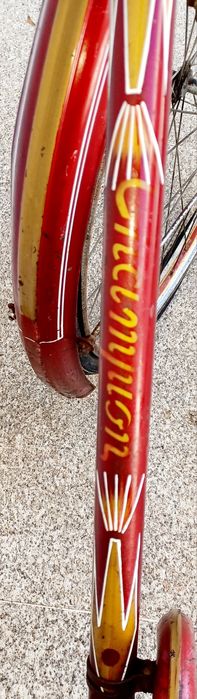 Bicicleta Pasteleira CHAMPION Super