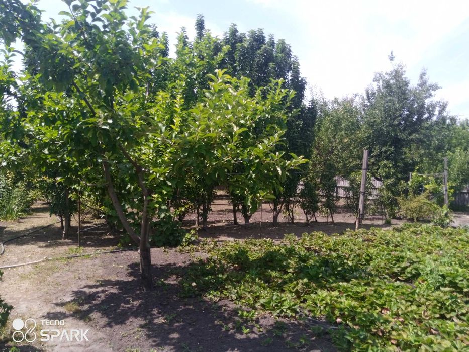 Продаю шикарный участок 26 соток с ветхим домом , жилая улица