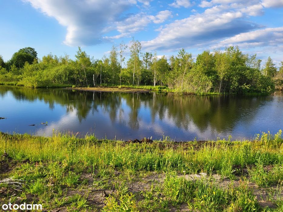Działka  5100 m² z dużym stawem i wyspą