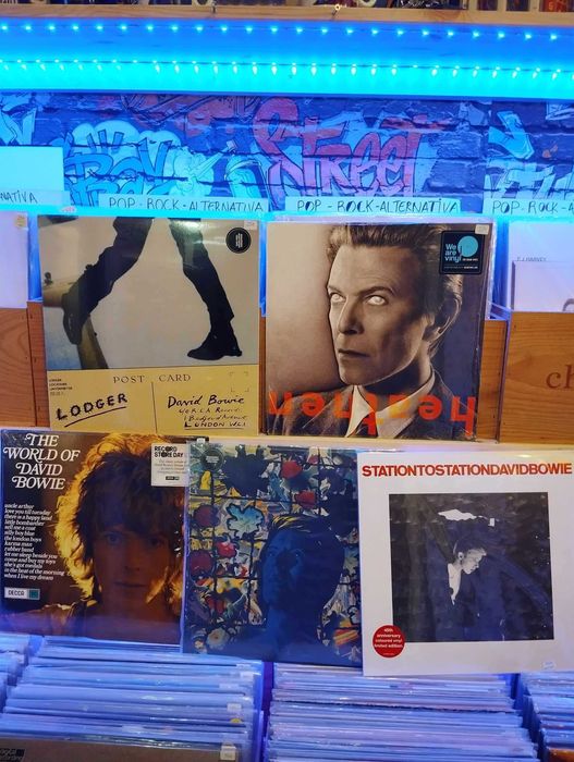 Vinil - David Bowie , Springsteen, Blondie,Bon Jovi,Clash, Anne Clarck