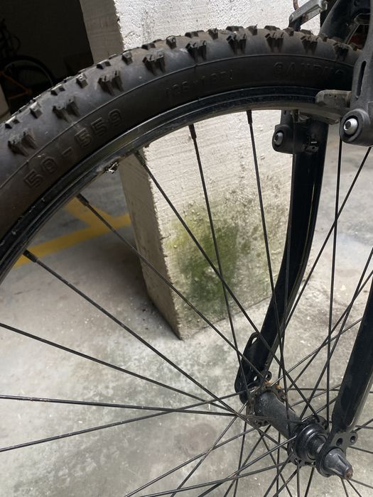 Bicicleta Estrada desportiva Team Adulto Velocidades