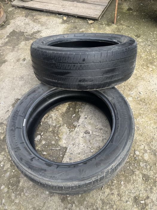 Шини Bridgestone Ecopia 225/55/R19
