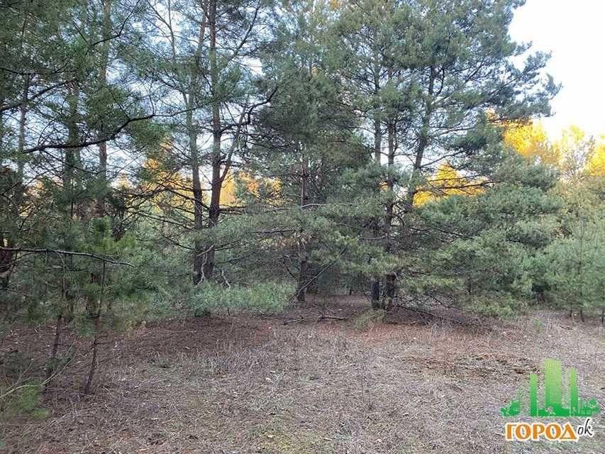 Продаж ділянки в лісі с Тубільці
