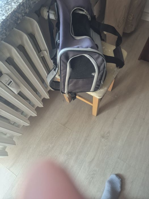 Walizka dla kotka