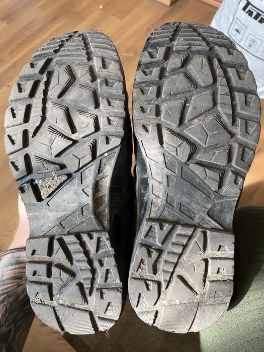 Бєрци алігатори