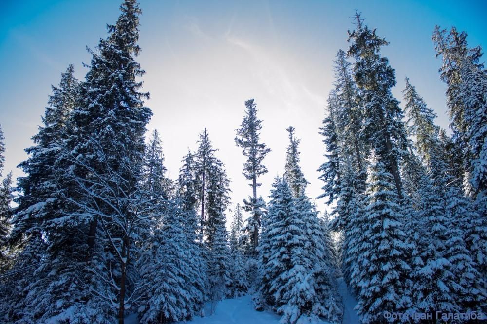 Земля в Закарпатті біля озера "Синевир"