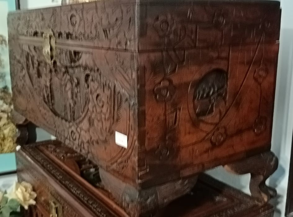 Arca de madeira em cânfora