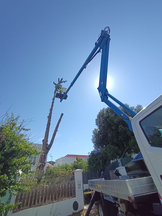 Grua com cesto - Aluguer
