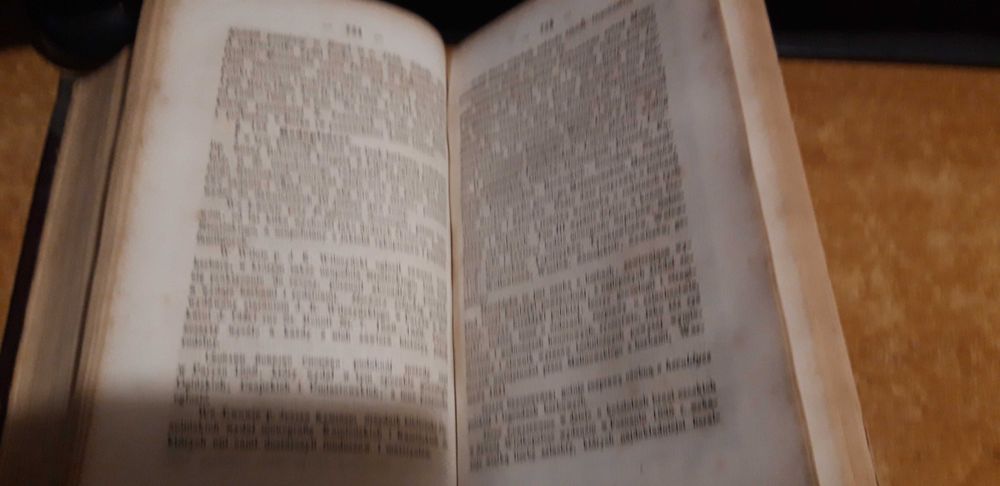 Rys Dziejów Piśm Pol.-ŁUKASZEWICZ-P-ń1866.,wyd.rozsz.