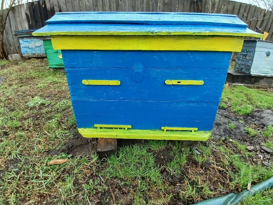 Лежак український 20 рамок