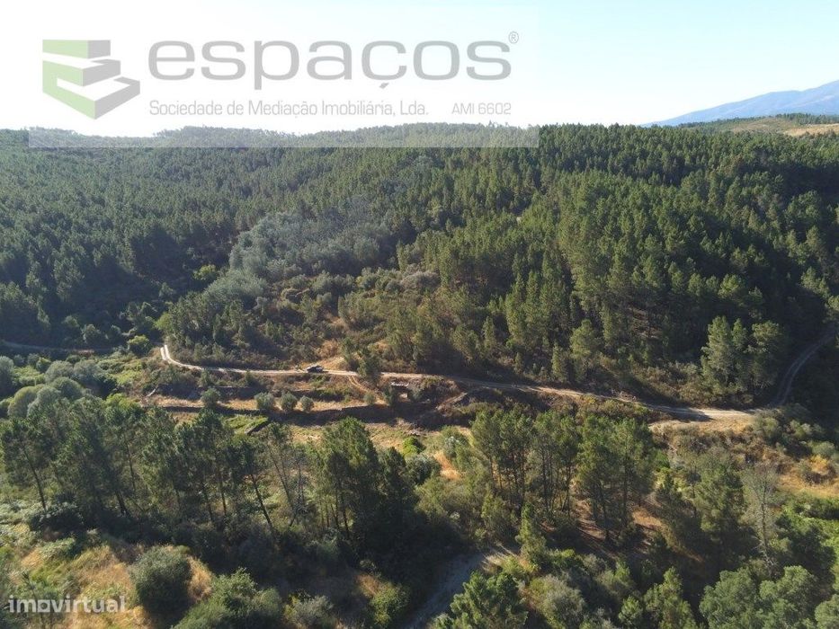 Terreno Agrícola
