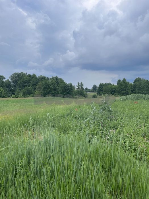 Продаж без комісії,15 соток під забудову!! с. Малий Карашин