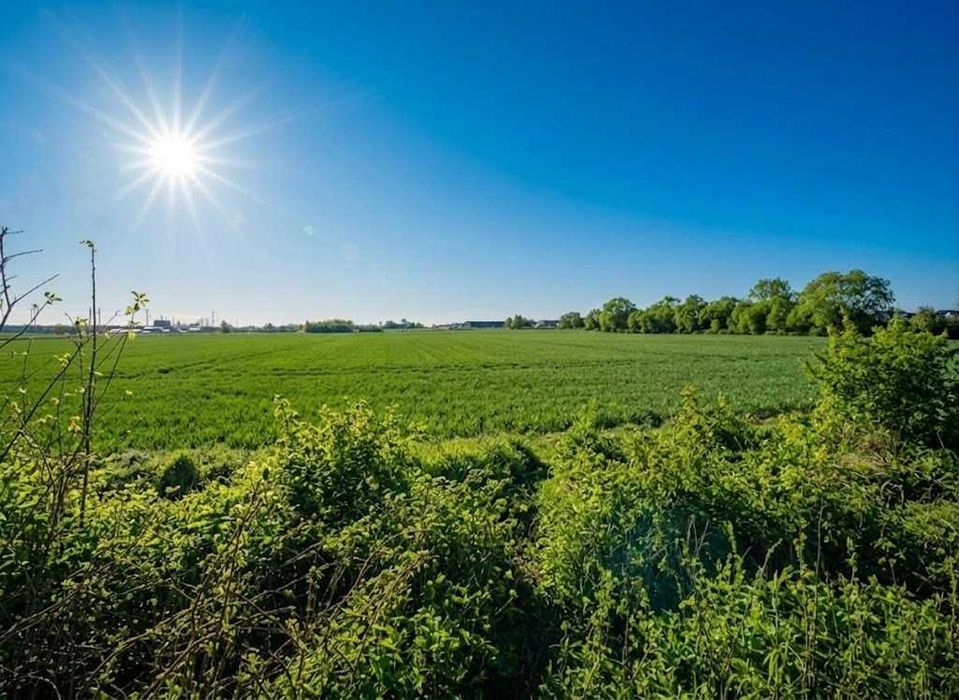 Продаж земельної ділянки 10 соток - ОСГ. Біля лісу. с.Оліївка. ID:747