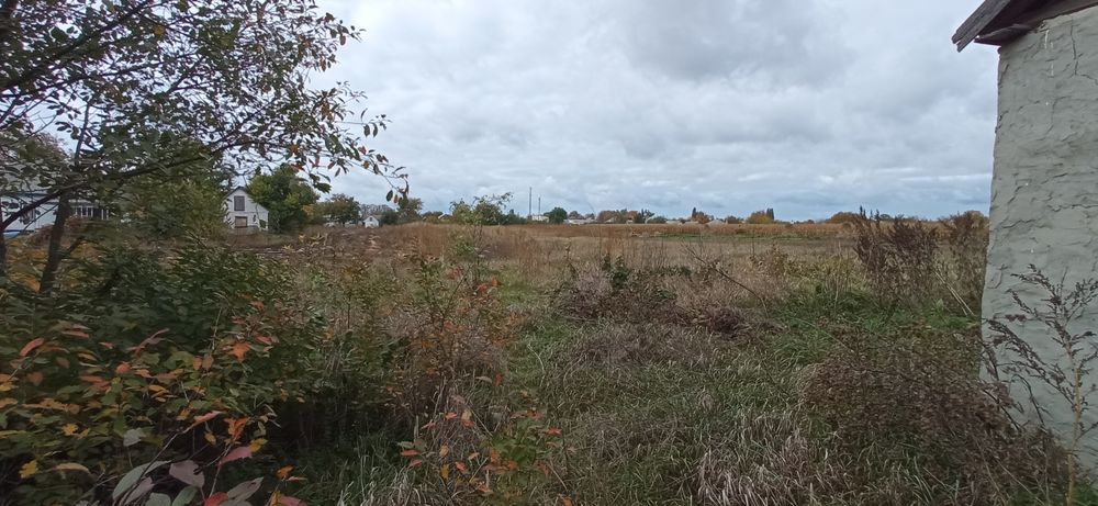 Продам кафе з будиком