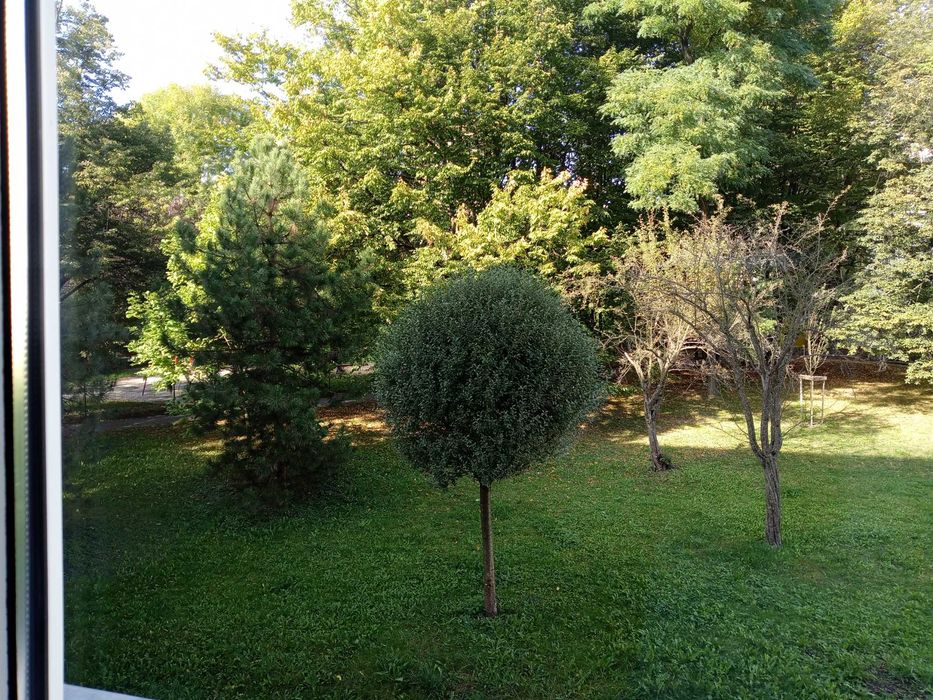 Wynajmę mieszkanie 49.5m 3 pokoje 1 piętro z balkonem