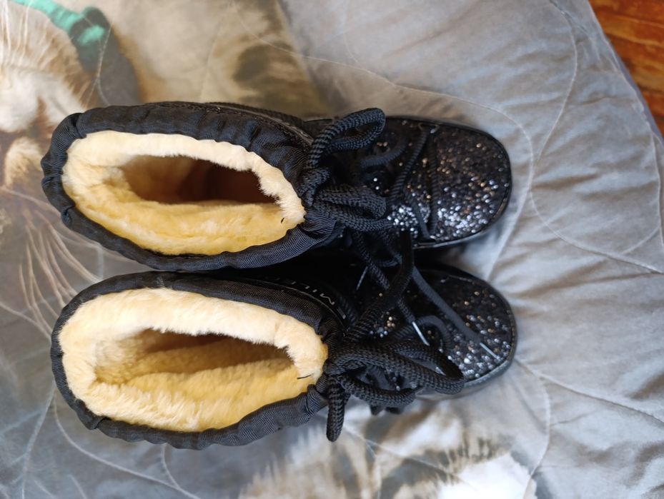 Новые луноходы лаковые