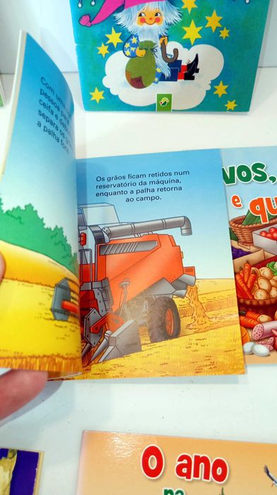 Livros da Coleção - Mini Livros