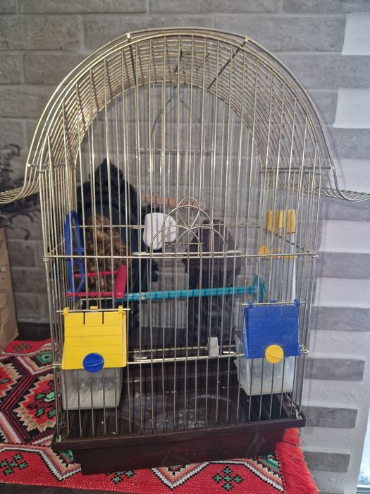 Клітка для папушки