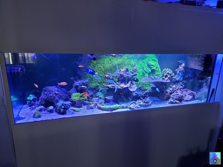 Aquário 200x60x60cm