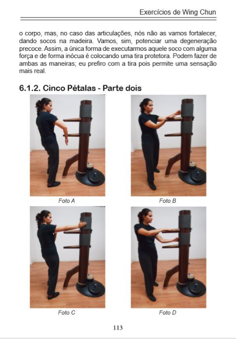 Wing Chun - Uma Arte de Vida