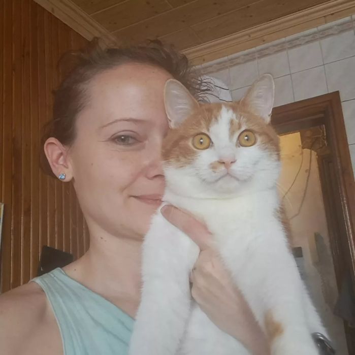 Отдам рыже-белого кота, 1 год, кастрирован, привит