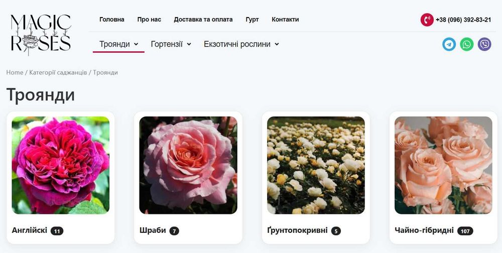 Уроки по створенню сайтів без програмування ZERO CODE