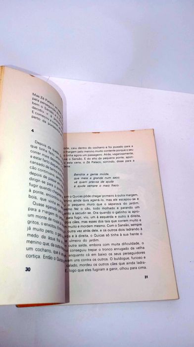 O Cão, o grato e a árvore - Leonel  Neves