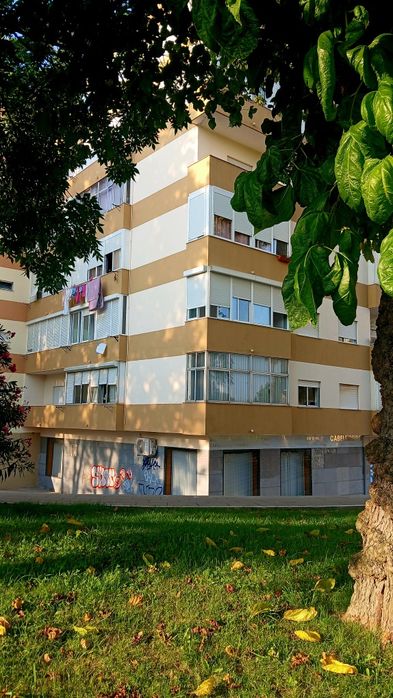 Luminoso T1 em Amora