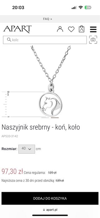 Srebrny naszyjnik apart z koniem