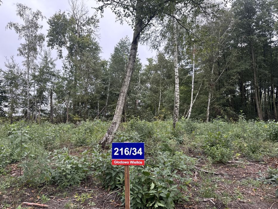 Działka budowlana GŁODOWO WIELKIE