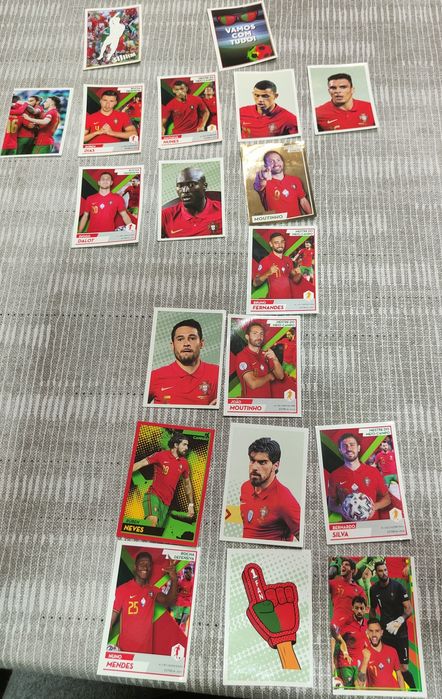 Selos Fome de Vencer