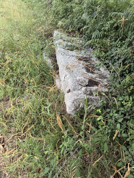 vendo pedras de lagar
