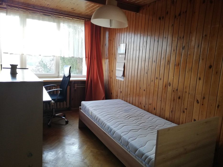 Zdjęcie 8